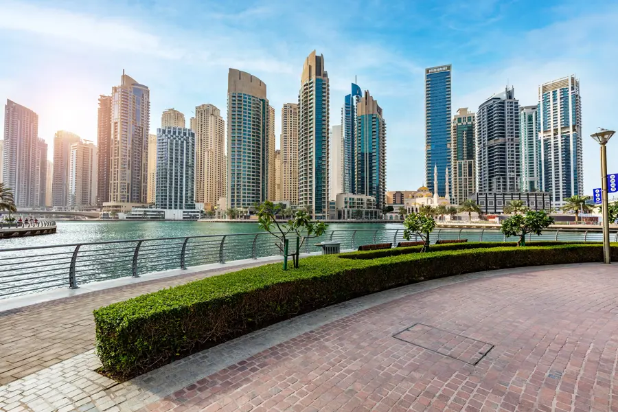 AMC Executive Search Dubai Marina