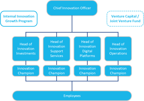 Ideal Innovation Structure